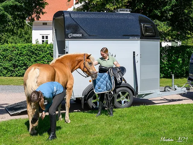 Hästtrailer och häst
